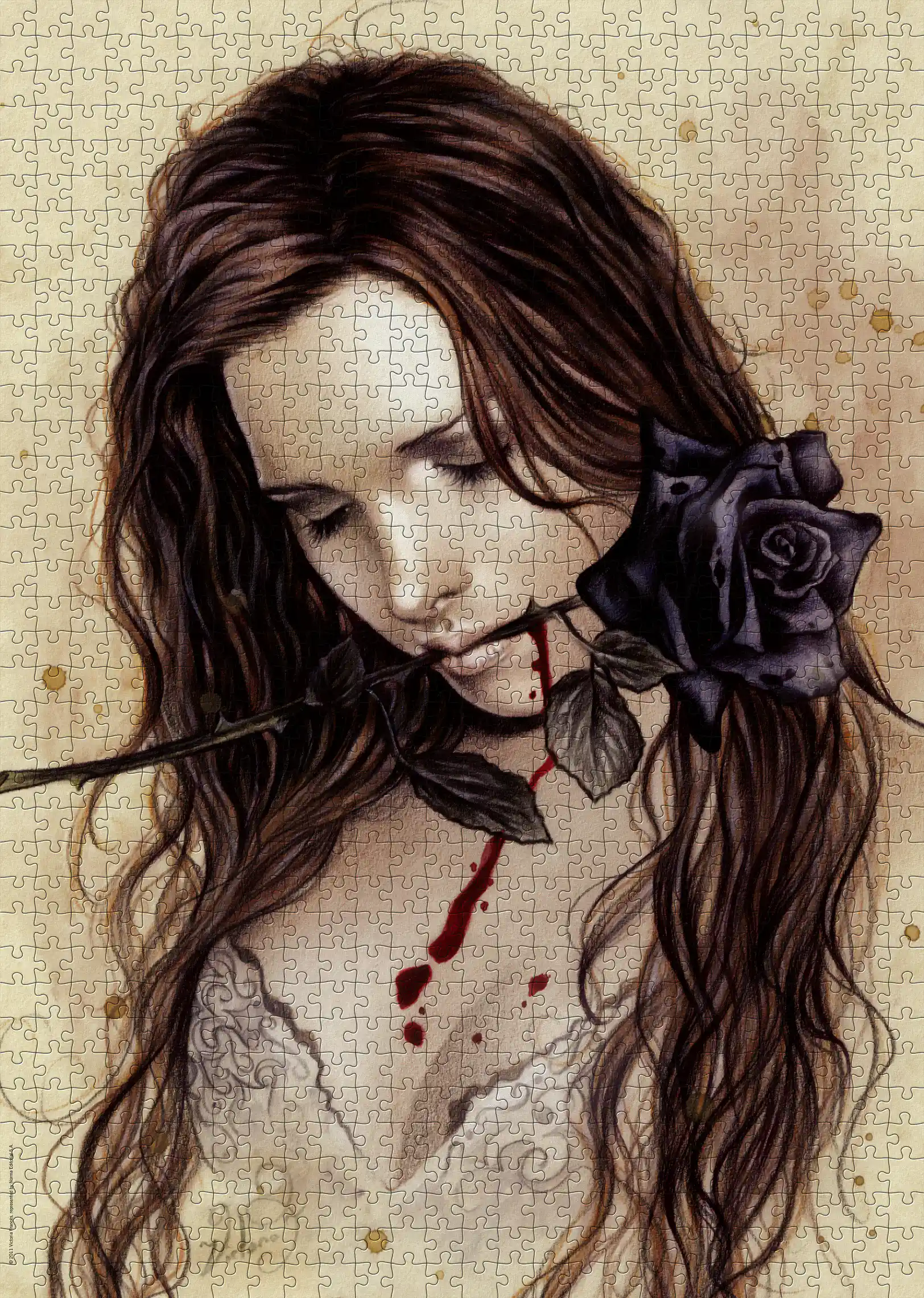 ベビーフェイステディベア Ruthie O'Neill作　Roberta Rosa negra, quebra-cabeça Heye 1000 peças